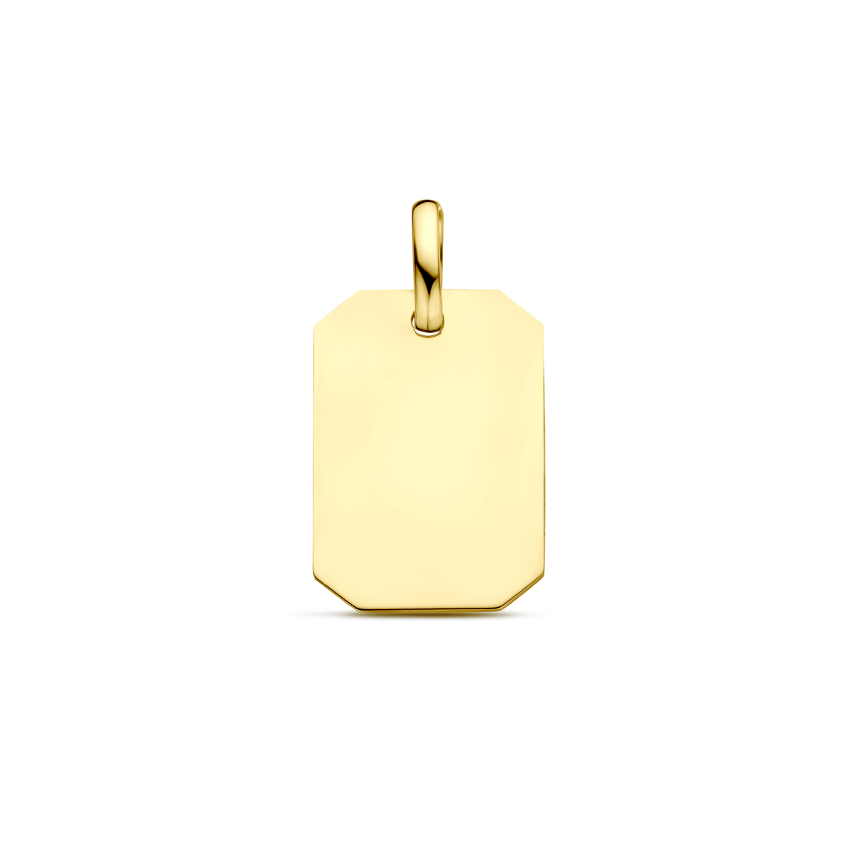 9k Geel kleurig&nbsp;graveerhanger met een totale hoogte van 20mm.
