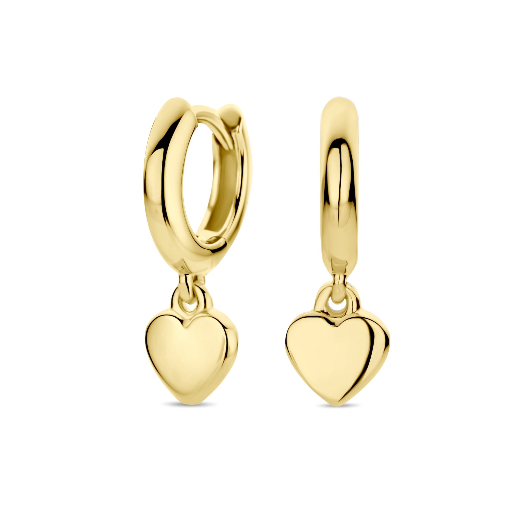 Dit zijn oorbellen van het merk FJF Jewellery gemaakt voor dames.