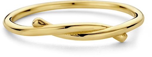 Dit is een ring van het merk Swing Jewels gemaakt voor dames.
De specificaties zijn als volgt:
Ringmaat: 56