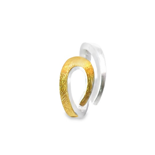 Der Ring Silber/Gold kratzmatt,  zeichnet sich durch sein elegantes Design aus. Dieser stilvolle Schmuck aus der Kategorie JEWEL und dem Typ RING kombiniert Silber und Gold in einem kratzmatten Finish. Am besten wird er als Blickfang am Ringfinger oder Mittelfinger getragen, um seinen modernen und edlen Look zu betonen. Perfekt f&uuml;r jede Gelegenheit.