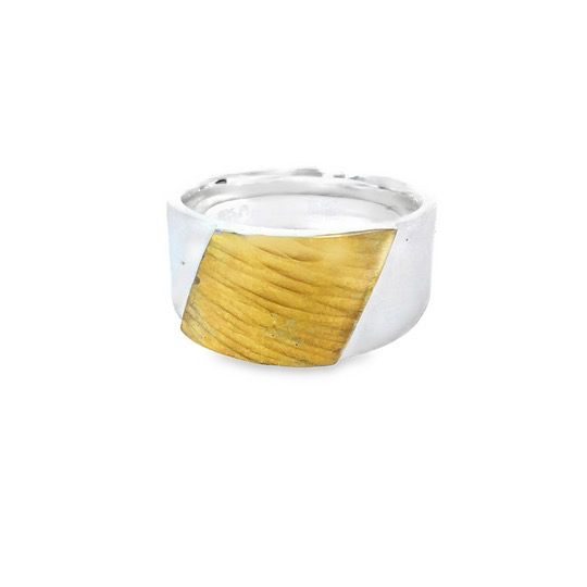 Der Ring Ag/Au Finnhammer, ist ein einzigartiges Schmuckst&uuml;ck der Kategorie JEWEL und des Typs RING. Dieser elegante Ring kombiniert Silber (Ag) und Gold (Au) und verleiht jedem Outfit einen Hauch von Luxus. Am besten tragen Sie ihn als Blickfang an einem besonderen Anlass oder um Ihrem Alltagslook Raffinesse zu verleihen.
