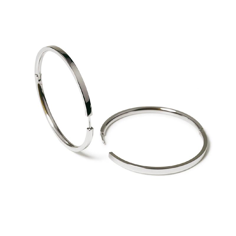 Dit zijn oorsieraden van het merk Boccia Titanium.