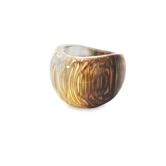Ring Farn versteinert