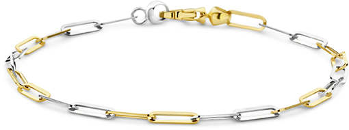Dit is een armband van het merk Swing Jewels gemaakt voor dames.