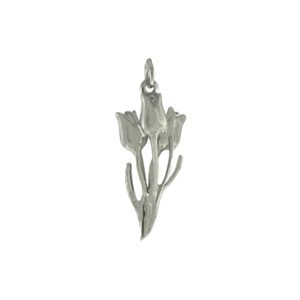 zilveren hanger in de vorm van een boekt tulpen