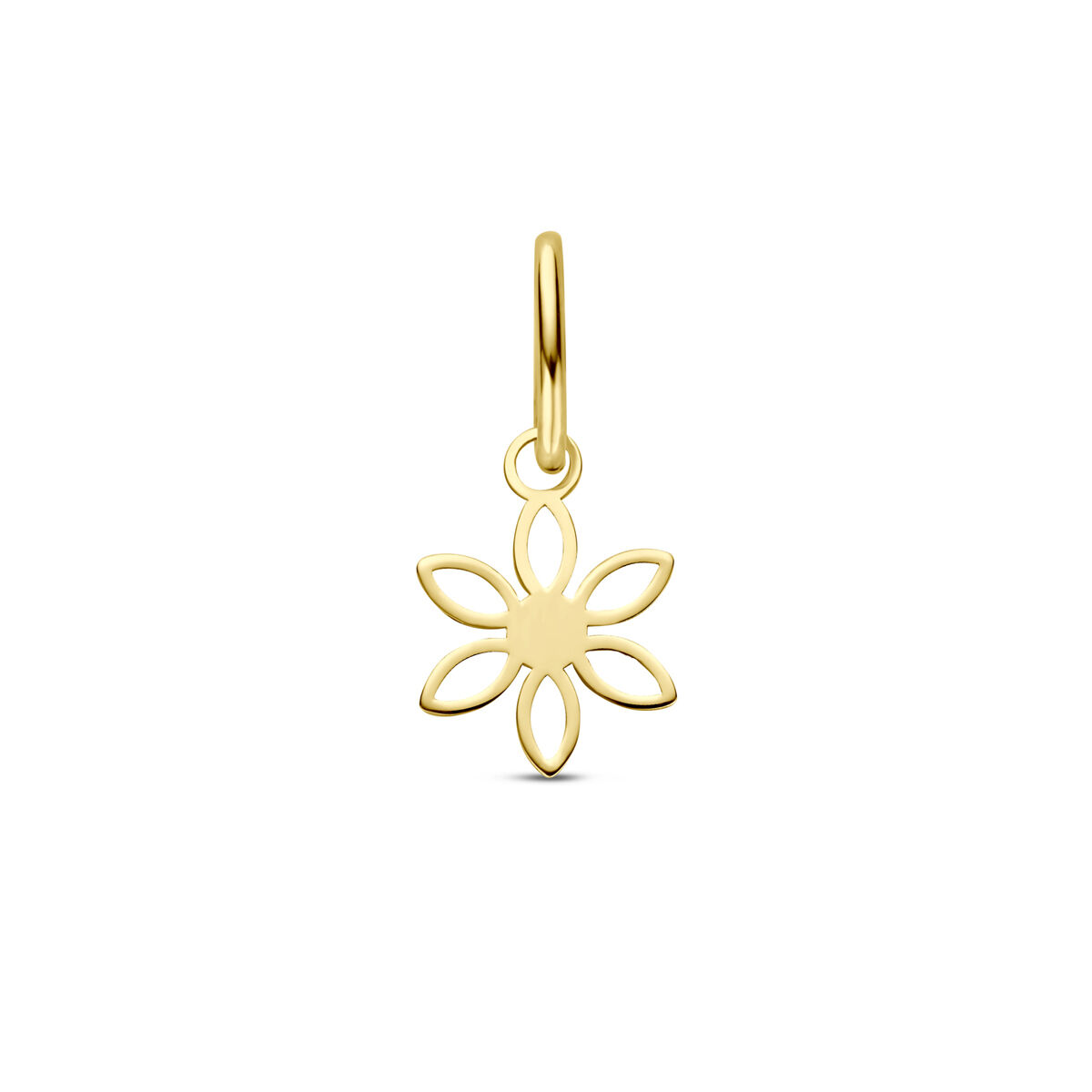 14krt gouden hanger