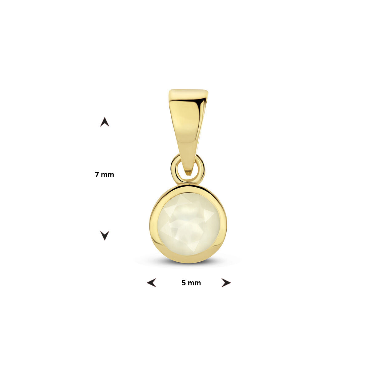 14k Geelgouden geboortesteen hanger uitgevoerd met een schitterende edelsteen. De hanger heeft een totale hoogte van 1.1cm.