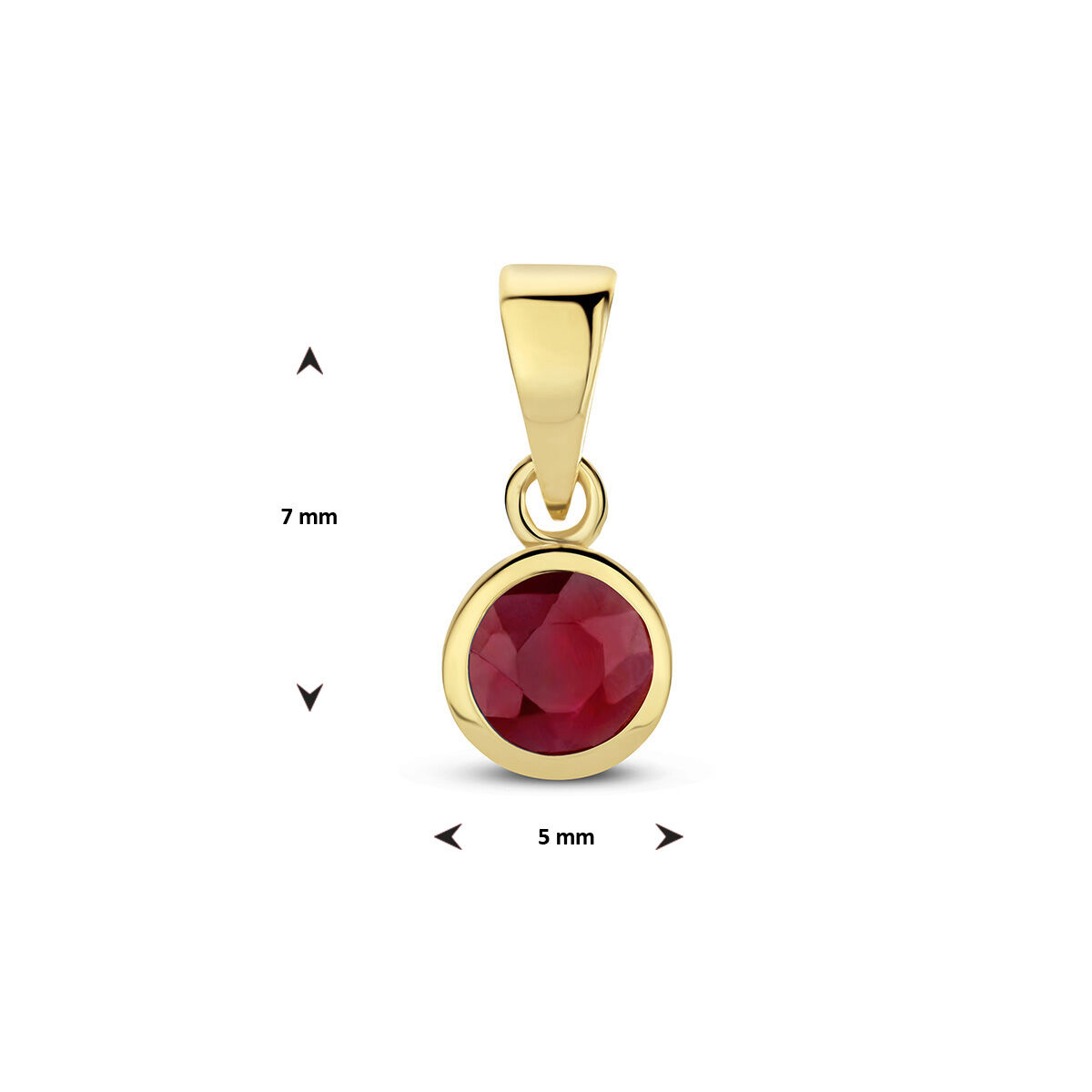 14k Geelgouden geboortesteen hanger uitgevoerd met een schitterende edelsteen. De hanger heeft een totale hoogte van 1.1cm.