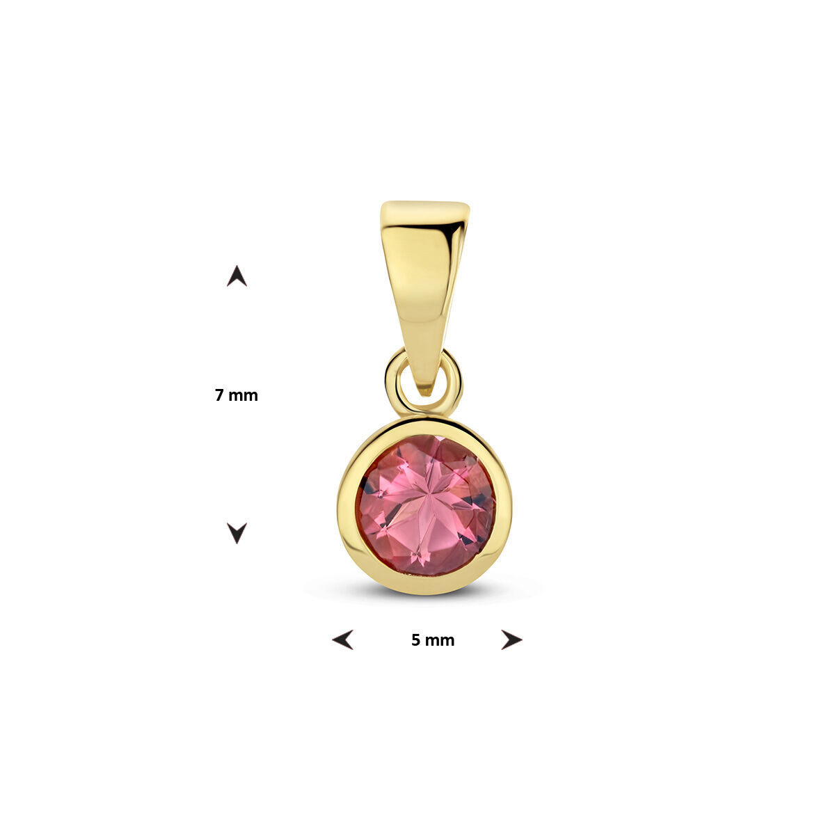 14k Geelgouden geboortesteen hanger uitgevoerd met een schitterende edelsteen. De hanger heeft een totale hoogte van 1.1cm.