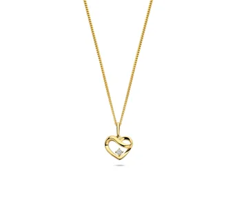 Joy & Julia 14k gg hanger zirk