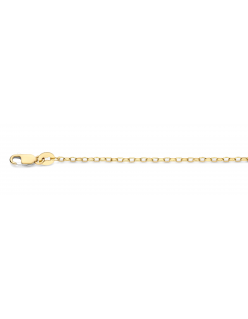 40-ANK01650