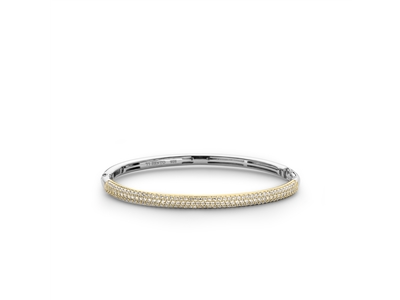 Deze TI SENTO vergulde zilveren bangle armband 2874ZY is gedecoreerd met een pave van witte cubic zirconia steentjes, handgezet in een geelgoud-plated zetting. De armband is gemaakt van 925 sterling zilver en plated met goud. Dit verfijnde en tijdloze accessoire geeft iedere outfit een vernieuwde vintage look.