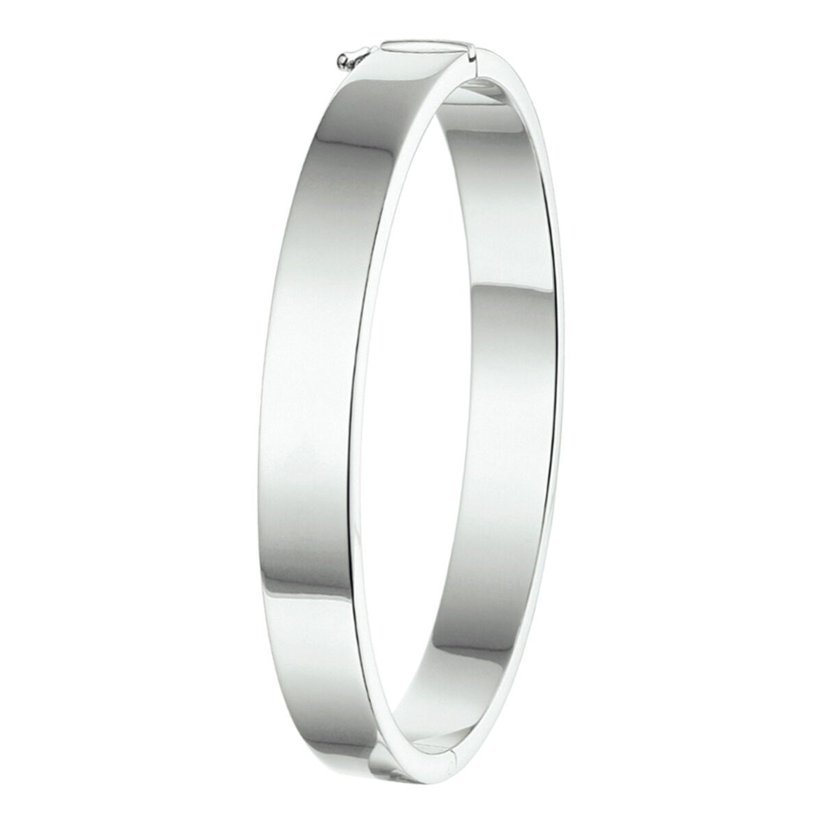 bangle scharnier 8 mm vlakke buis diameter 60 cm 