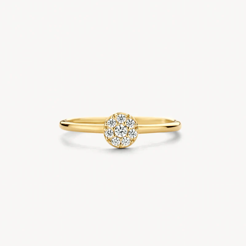 Ontdek deze verfijnde ring, vervaardigd uit 14k geelgoud. Je ziet een slanke band die subtiel overgaat in een cirkelvormig cluster van schitterende zirkonia's. Deze zijn zorgvuldig pav&eacute; gezet voor maximale glans. Met een banddikte van ⌀ 1.4 mm draagt hij comfortabel en elegant. Een tijdloze toevoeging aan jouw sieradencollectie.