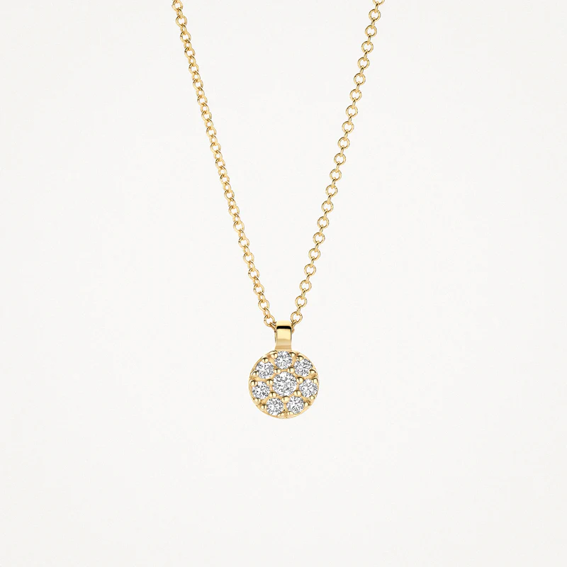 Deze schitterende 14k geelgouden ketting geeft je outfit direct een luxe uitstraling. Het sieraad heeft een verfijnde anker schakel van 0,8 mm breed en een lengte van 42 cm. De ronde hanger van 5,5 mm valt op door de fonkelende zirkonia&rsquo;s in een elegante pav&eacute;-zetting. Een tijdloos collier dat prachtig glanst bij elke beweging die je maakt.