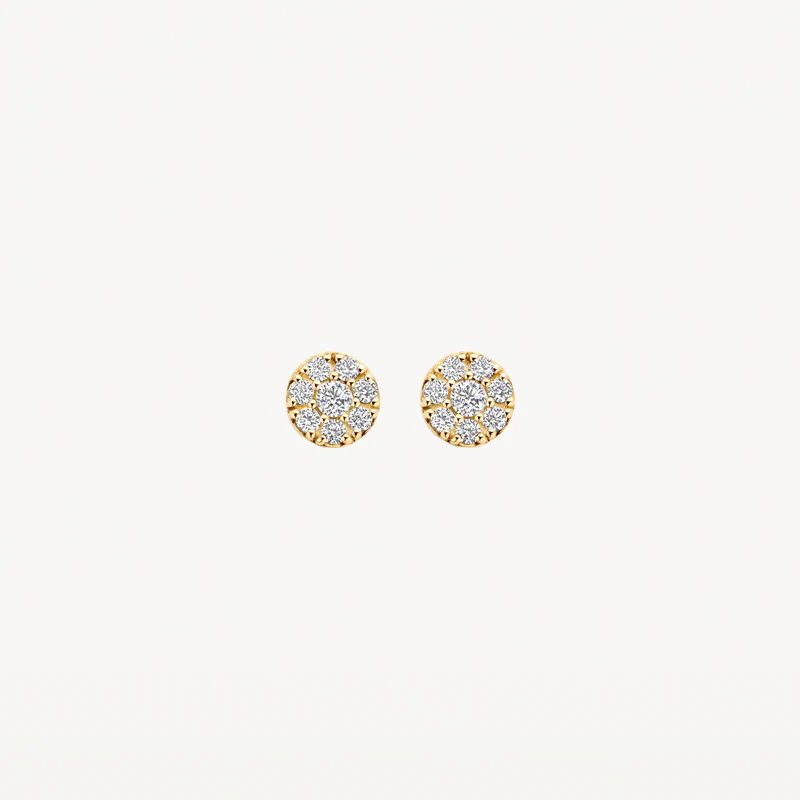 Geef je look een schitterende touch met deze oorknopjes van 14k geelgoud. De ronde knopjes zijn verfijnd afgewerkt met fonkelende zirkonia&rsquo;s in een elegante pav&eacute;-zetting. Met een diameter van 5,5 mm zijn ze ideaal voor elke gelegenheid. Deze tijdloze oorbellen laten je stralen en vormen een luxe toevoeging aan je persoonlijke sieradencollectie.