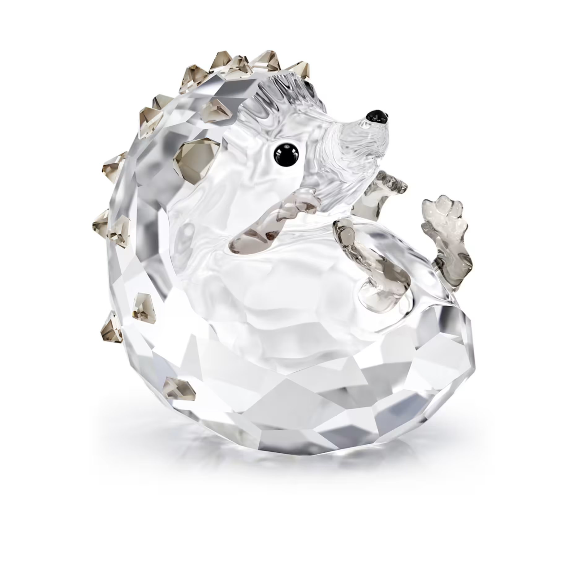 Diep in het herfstbos ontmoet Swarovski een nieuwsgierig egeltje, helemaal opgerold en enorm aandoenlijk. Deze speelse creatie is gemaakt van helder kristal, met 519 facetten en verschillende subtiele tinten die het lieve ontwerp extra definitie geven. Decoratieobject. Geen speelgoed. Niet geschikt voor kinderen onder de 15 jaar.

Artikelnr.: 5732808
Collectie:  Idyllia
Formaat: 3.5 x 3.4 x 3.5 cm
Ontwerper:  Edith Mair
Materiaal:  Kristallen
Kleur:  Wit