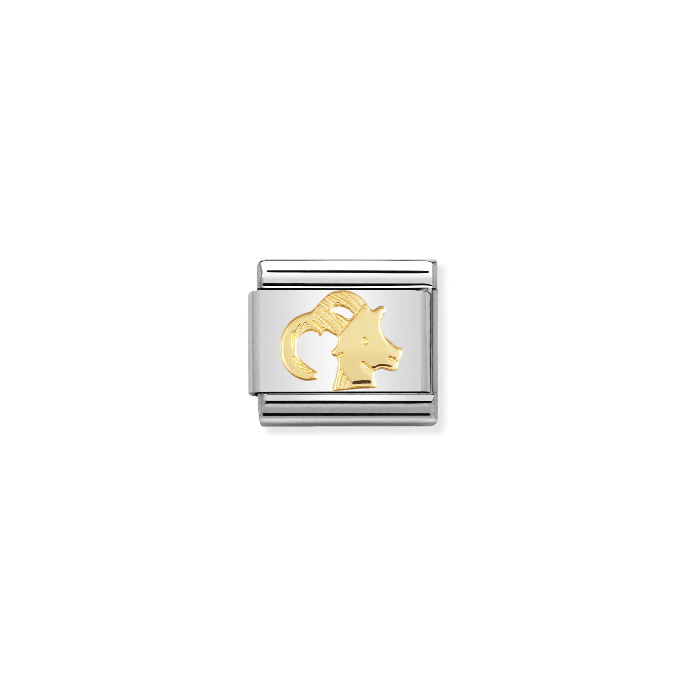 NOMINATION COMPOSABLE CLASSIC ZODIAC CAPRICORN