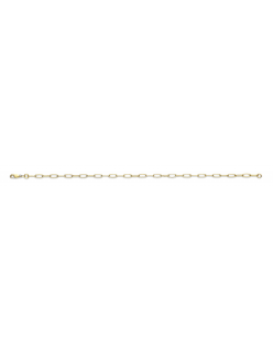 GEELGOUDEN COLLIER ZILVEREN KERN FANTASIE ANKER 45CM