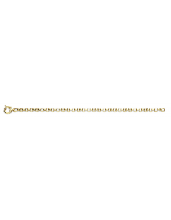 GEELGOUDEN COLLIER ZILVEREN KERN 45CM JASSERON