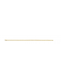 GEELGOUDEN ARMBAND ZILVEREN KERN SINGAPORE 19CM