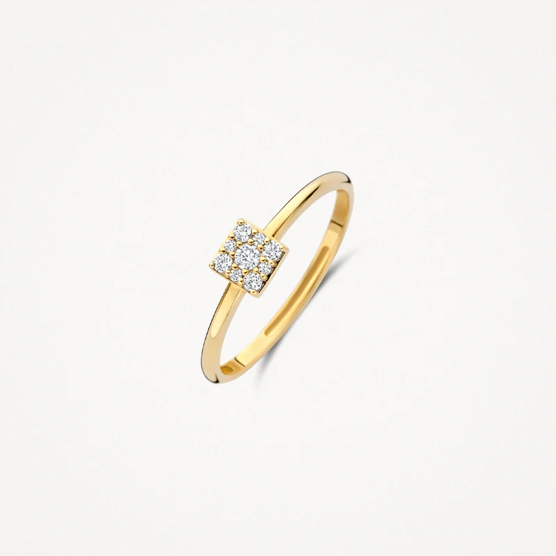 Ontdek deze schitterende 14k geelgouden ring, perfect voor jou. Het vierkante element, bezet met sprankelende zirkonia's in een verfijnde pav&eacute;-zetting, voegt een subtiele elegantie toe aan de 1.4 mm brede diameter van de ringband. Een tijdloze toevoeging aan je sieradencollectie.