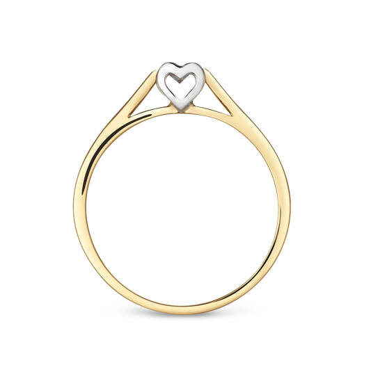 14 krt lab diamond ring
te bestellen in andere maat