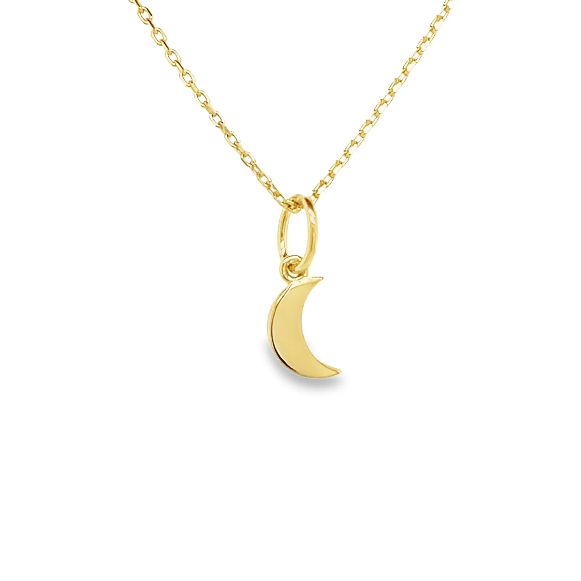 14k geelgouden hanger in vorm van een halve maan

* De hanger wordt exclusief collier geleverd