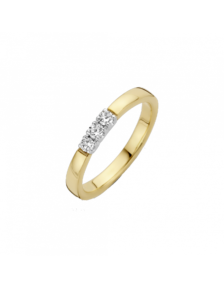 Bico Memoire ring 3 x 0.07 crt H/Si