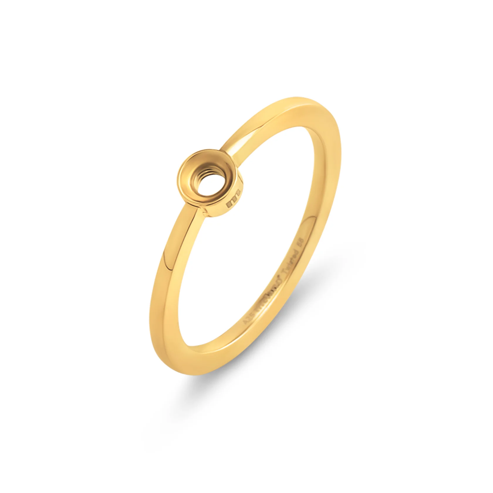 De Melano Twisted Petite ring is een verfijnd ringetje van 1 mm breed. Personaliseer deze ring door jouw favoriete Twisted steentje toe te voegen. Tip: combineer de Petite ring met &eacute;&eacute;n van onze aanschuifringen uit de Melano Friends collectie. De Petite ring is verkrijgbaar in een zilver-, rose goud- of goudkleurige plating.