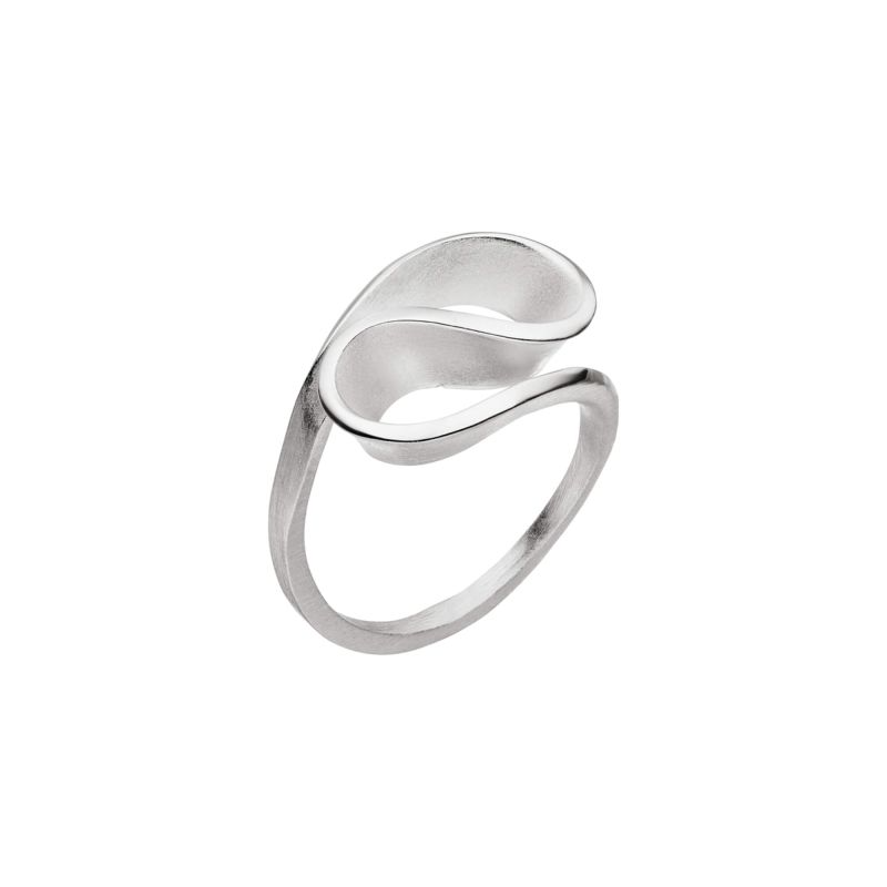 Zilveren ring
