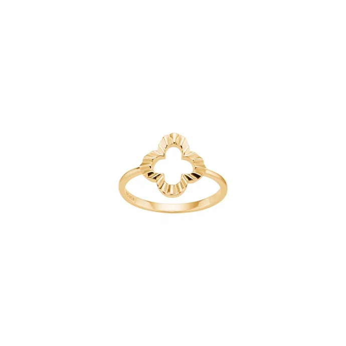 Der Vergoldete Silberring CLOVERA52  ist ein eleganter NEUER Schmuck, ideal f&uuml;r Schmuckliebhaber. Perfekt f&uuml;r den t&auml;glichen Gebrauch oder besondere Anl&auml;sse, kann dieser Ring sowohl einzeln als auch in Kombination mit anderen Ringen getragen werden, um einen stilvollen Look zu kreieren. Ein Must-Have-Accessoire f&uuml;r jeden Anlass! 