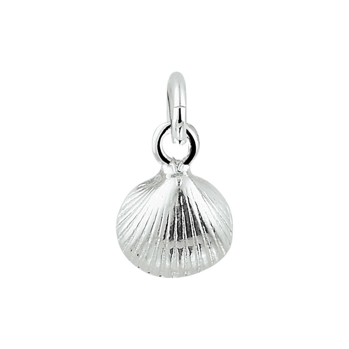 hanger schelp