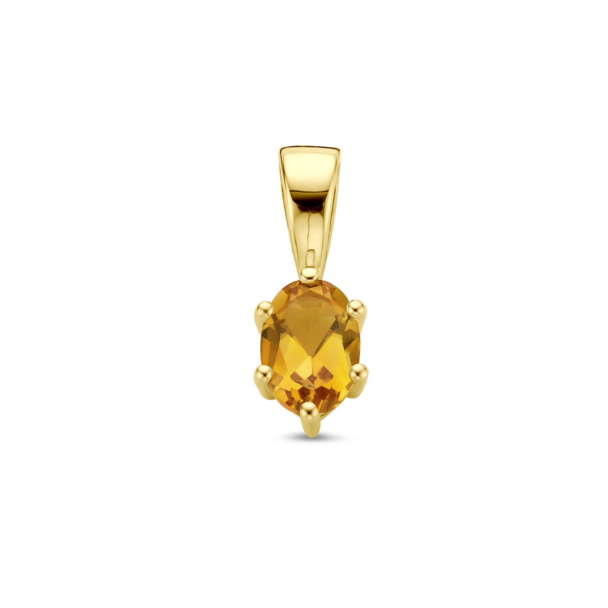 14k Geelgouden hanger met een geboortesteen. De hanger heeft een afmeting van 13x4.5mm.