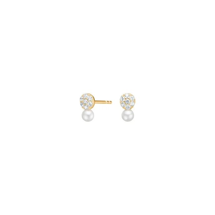 Produktmerkmale: Vergoldete Silber Ohrstecker TIANOR, bieten eleganten Schmuck f&uuml;r jeden Anlass. Diese neuen Ohrstecker sind Teil der Kategorie &bdquo;Schmuck&ldquo; und geh&ouml;ren zur Kategorie &bdquo;Stecker&ldquo;. Am besten als t&auml;glicher Begleiter oder zu besonderen Anl&auml;ssen zu tragen, verleihen sie jedem Outfit einen subtilen und stilvollen Glanz.