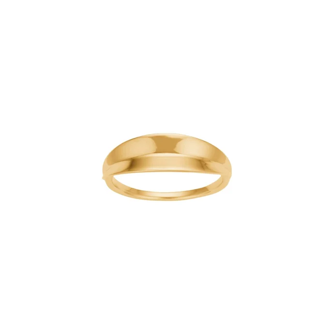 Der vergoldete Silberring LEAVE52 in Gr&ouml;&szlig;e 56,   ist ein strahlendes Schmuckst&uuml;ck der Kategorie RING, im neuwertigen Zustand. Tragen Sie diesen eleganten Ring bei besonderen Anl&auml;ssen oder im Alltag, um Ihrem Outfit einen Hauch von Raffinesse zu verleihen. Ideal als Statement-Piece an jedem Finger Ihrer Wahl.