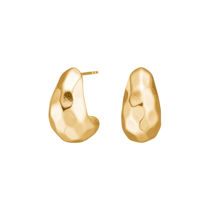 Die Stahl Creolen IP Gold SALINO,sind elegante Ohrstecker f&uuml;r einen raffinierten Look. Diese neuen Schmuckst&uuml;cke aus hochwertigem Edelmetall bieten zeitlosen Stil und Eleganz. Ideal f&uuml;r formelle Anl&auml;sse oder um allt&auml;glichen Outfits einen Hauch von Glamour zu verleihen. Kombinieren Sie sie mit einem schicken Kleid oder einer eleganten Bluse f&uuml;r das beste Aussehen.