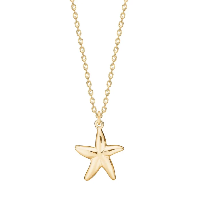 Die vergoldete Silberhalskette Seestern SEA,  ist ein elegantes Schmuckst&uuml;ck, das zu jeder Garderobe passt. Sie geh&ouml;rt zur Kategorie Schmuck und ist ein brandneues Produkt. Tragen Sie diese Halskette am besten zu einem schicken Kleid oder einem Casual-Outfit, um einen Hauch von maritimem Flair zu verleihen.