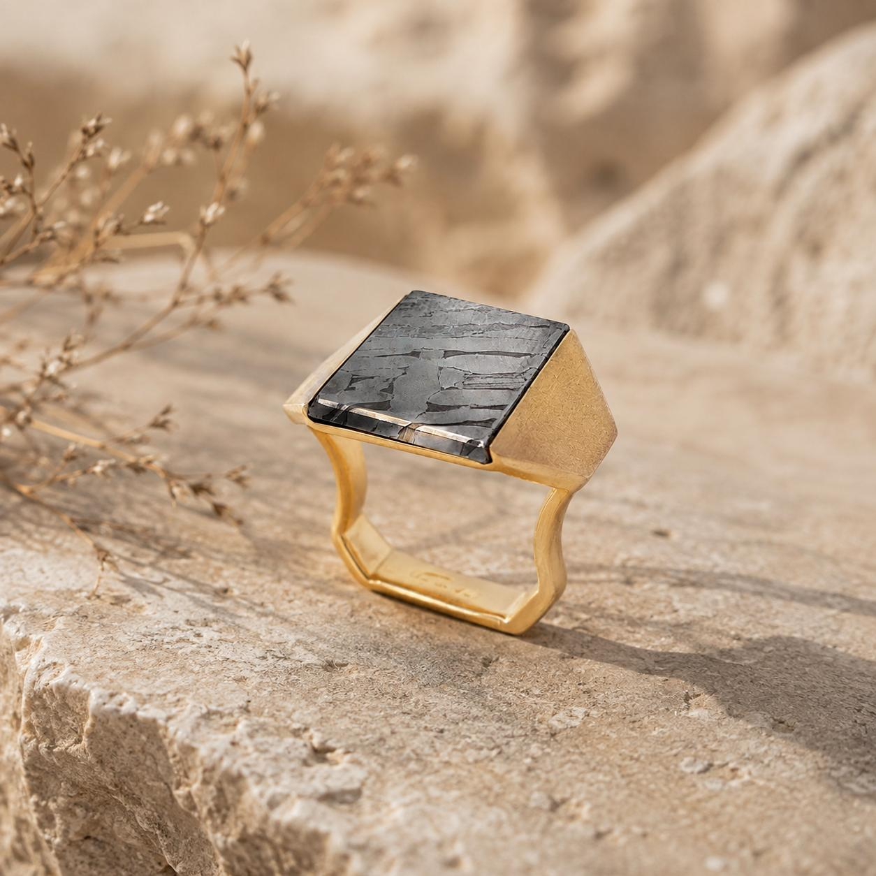 Dieser faszinierende Ring in Gold 750 mit einem Meteorit der Kategorie "Schmuck" besticht durch seine edle Verarbeitung und ist in der eleganten Gr&ouml;&szlig;e 66 erh&auml;ltlich. Perfekt f&uuml;r stilvolle Anl&auml;sse, passt er hervorragend zu weiteren Accessoires oder als Statement-Piece alleine getragen. Tragen Sie ihn an Ihrem Ringfinger oder als modischen Akzent an einem beliebigen Finger. Ein Must-have f&uuml;r jeden Schmuckliebhaber.