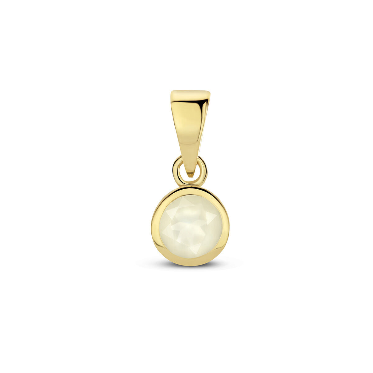 14k Geelgouden geboortesteen hanger uitgevoerd met een schitterende edelsteen. De hanger heeft een totale hoogte van 1.1cm.