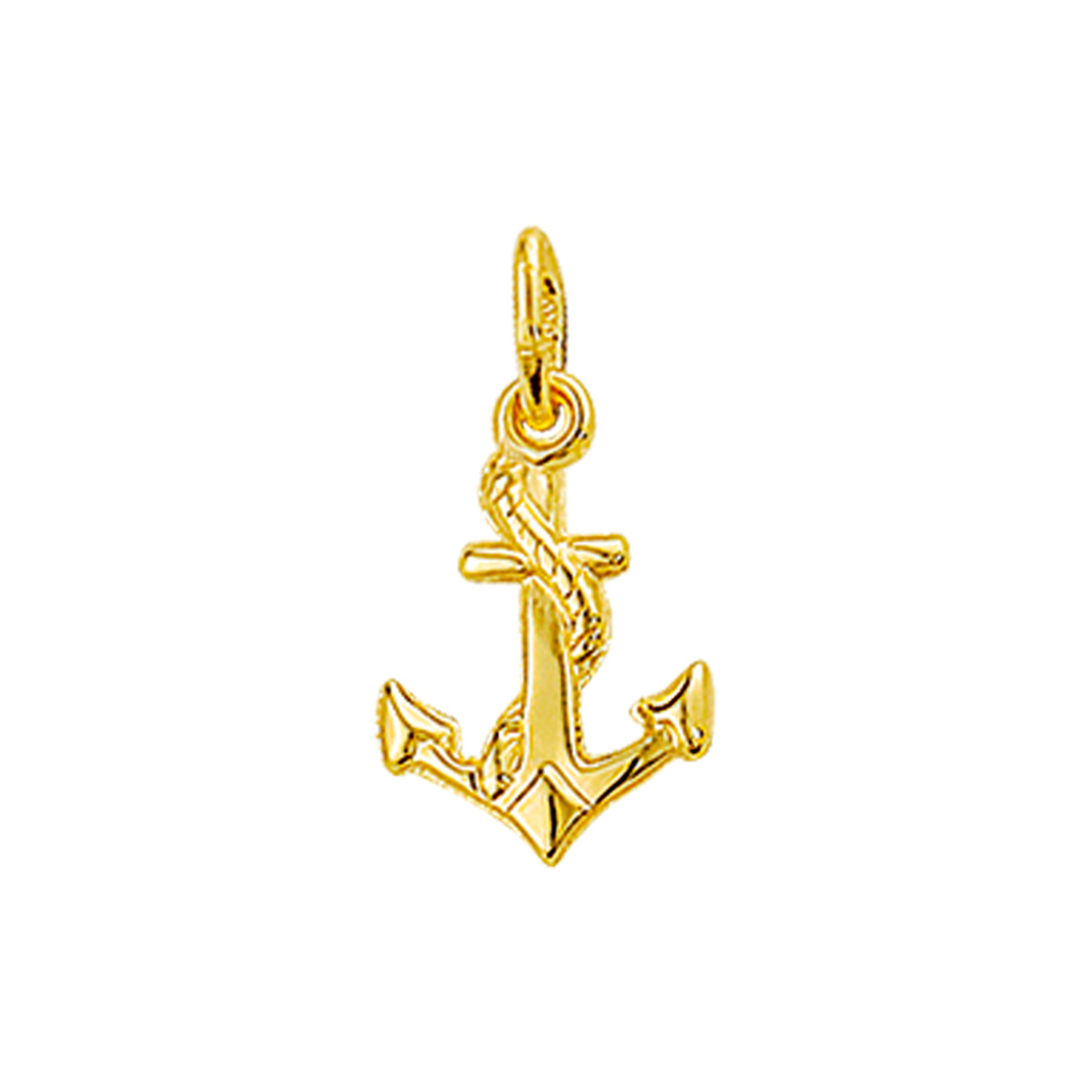 Klassieke 14 karaat gouden anker hanger met een sierlijk gewikkeld touwdetaillering uit de eigen collectie van Juwelier Rijk Amsterdam. Een nautische bedel vol verfijnde details en een hoogglans afwerking. Het anker staat symbool voor hoop, koersvastheid, standvastigheid en een veilige thuishaven.