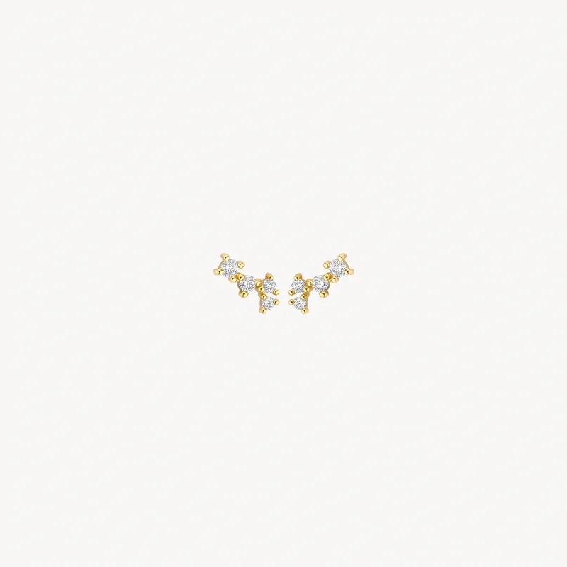 Fantasierijk en verfijnd zijn deze oorknoppen in 14k geelgoud met daarin zirkonia&rsquo;s in pav&eacute;-zetting. De hoogte van de oorknoppen is 6 mm.