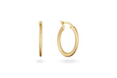 Deze Jackie Oorringen zijn gemaakt van 14k goud. Met een diameter van 15 mm zijn ze subtiel en stijlvol. Perfect om te dragen bij zowel casual als formele gelegenheden voor een verfijnde look.
