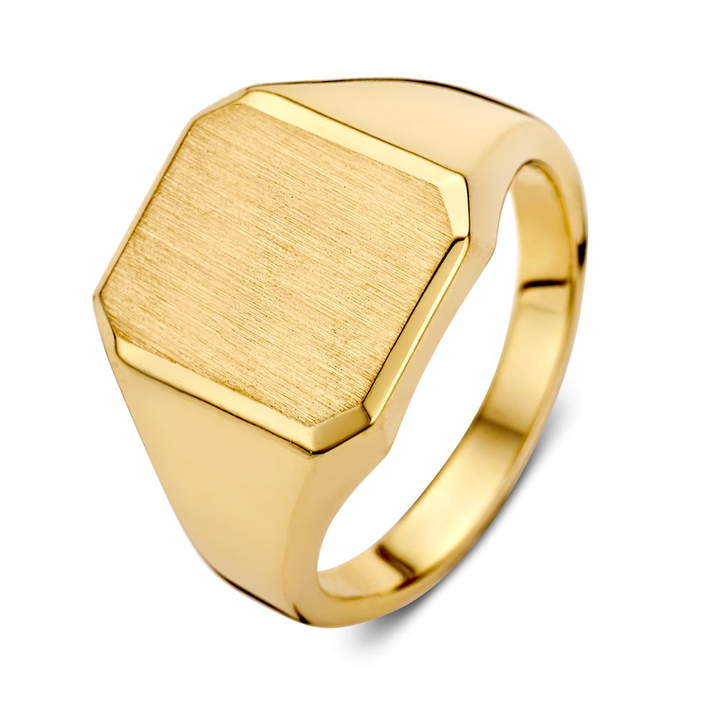 14k geelgouden zegelring massief