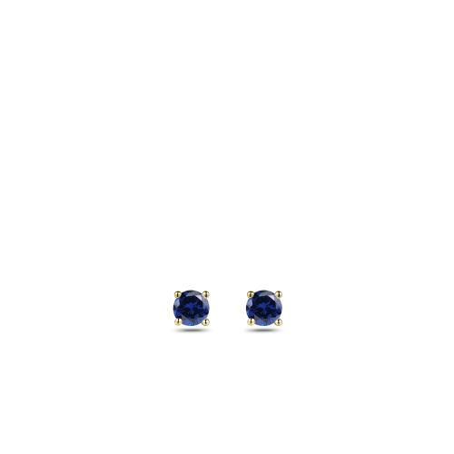 Zilver/vergulde oorstekers met blauwe steen