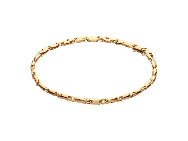 De Schakelarmband Grof Cardano van 20 cm, is een luxe sieraad gemaakt van 14-karaats goud met een goudkleurige afwerking. Deze stijlvolle armband is 200 mm groot, perfect om te dragen als een opvallend statementstuk bij zowel dagelijkse als chique gelegenheden. Draag hem los om de pols of combineer met andere sieraden voor een gelaagde look.