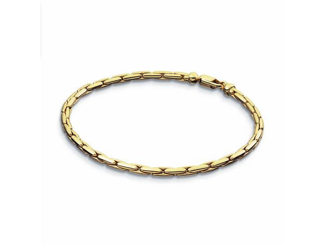 Het Armband Anker, is een verfijnd sieraad van een niet-gespecificeerd merk. Het bevat eigenschappen zoals een goudkleurige uitstraling, gemaakt van 14-karaats goud, en heeft een lengte van 19 cm. Dit armbandje kan elegant worden gedragen bij zowel casual als formele gelegenheden en voegt een vleugje luxe toe aan elke outfit.