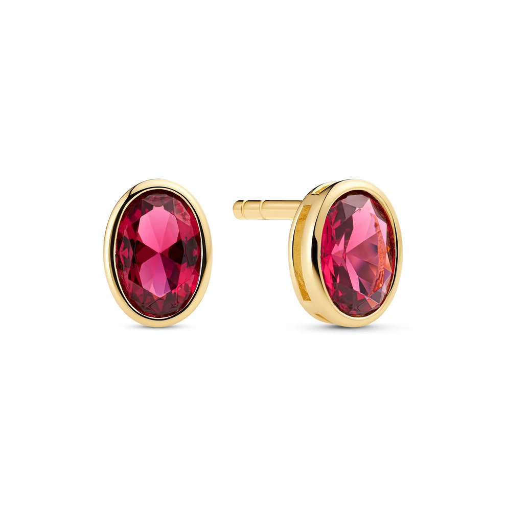 Oorbellen van 925 sterling zilver met een laagje 18-karaats goud, voorzien van een gepolijst oppervlak en handgezet met gefacetteerde roze zirkonia.

Afmetingen oorbellen: lengte 7 mm, breedte 5 mm

SKU: SJ-E2795-PKCZ-YG