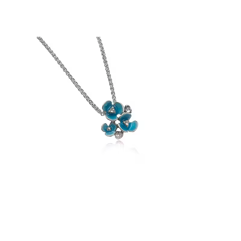 zilveren hanger emaille met zilveren collier