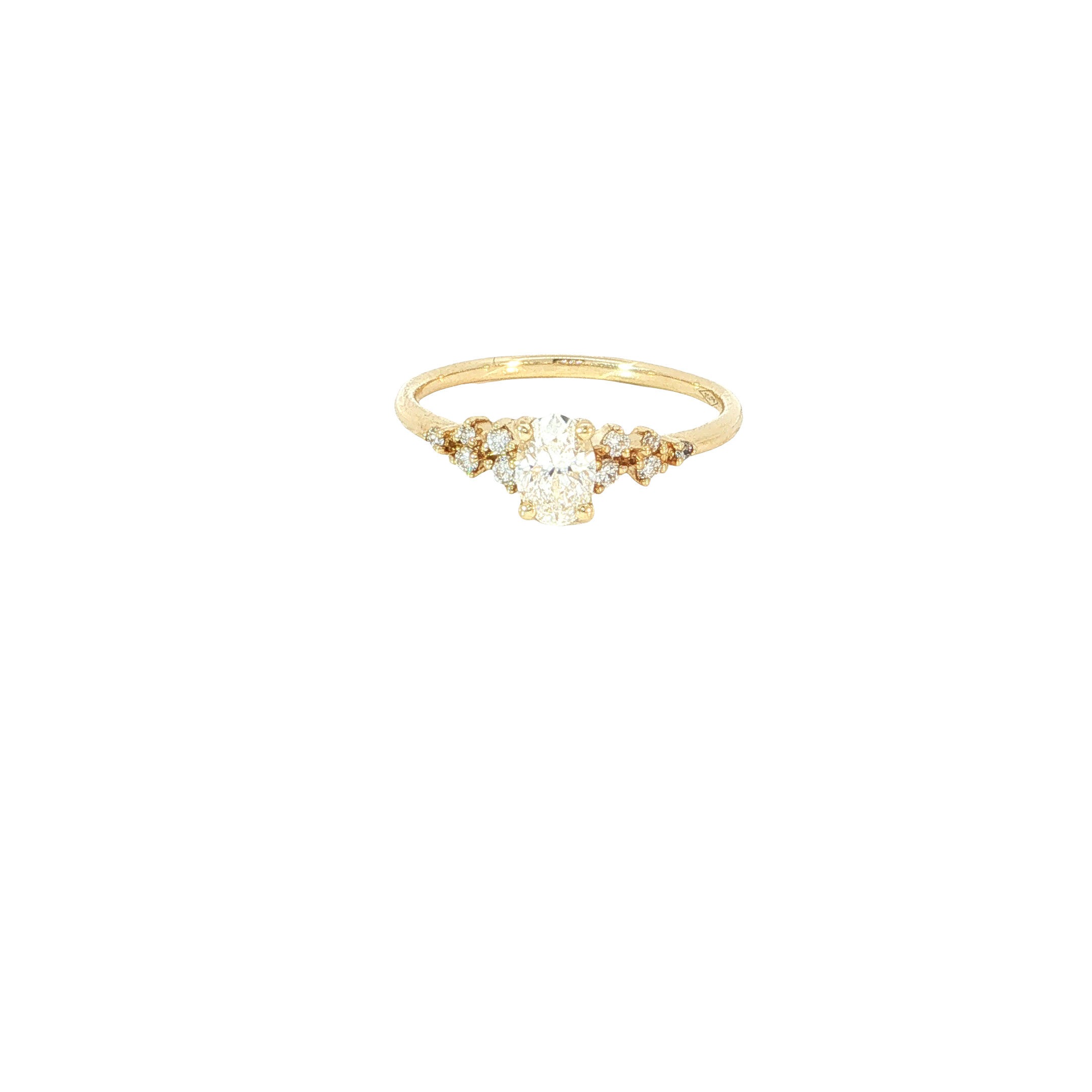 Dit is een prachtige ring met een ringmaat van 53, vervaardigd uit 18-karaat goud. Deze gouden ring is bezaaid met diamanten, inclusief een briljant geslepen diamant van 0,12 karaat met SI1 puurheid. Draag het als een opvallend sieraad voor speciale gelegenheden of als dagelijks verfijnde statement. Perfect voor elke sieradenliefhebber!